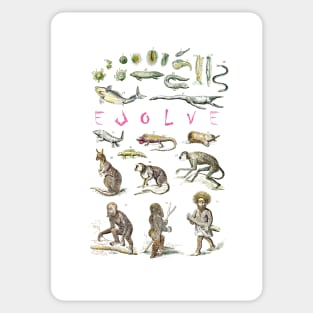 Evolve - Evolution - Life Sticker